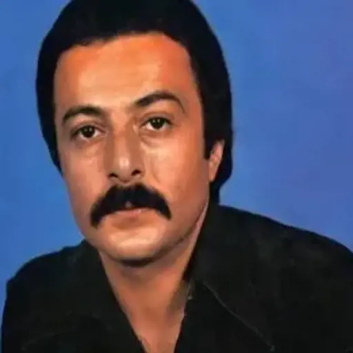 دانلود آهنگ نازکی مثل گل شاهرخ