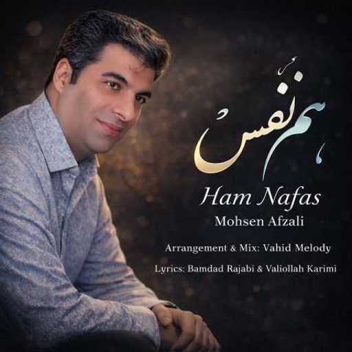 دانلود آهنگ جدید محسن افضلی هم نفس