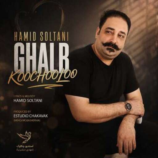 دانلود آهنگ جدید حمید سلطانی قلب کوچولو
