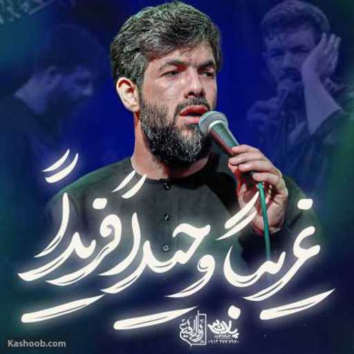 دانلود مداحی جدید حسین ستوده غریبا وحیدا فریدا