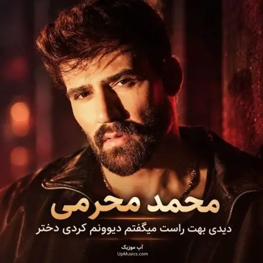 دانلود آهنگ دیدی بهت راست میگفتم دیوونم کردی دختر محمد محرمی